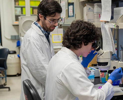 Newly Recognized Pathway Could Protect Diabetics from Hypoglycemia
