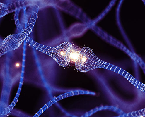 Scientists Test "Smart" Nanotech to Target Cancer Tumors With More Precision