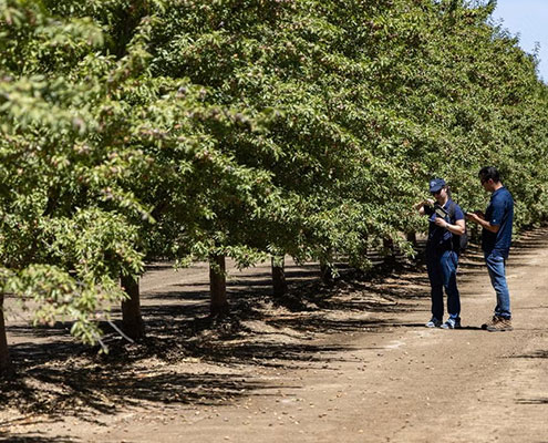 New AI Tool Helps Farmers Measure Real-Time Crop Health