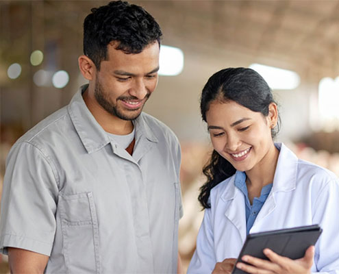 Disease BioPortal Helps Farmers and Veterinarians Better Protect Livestock Health